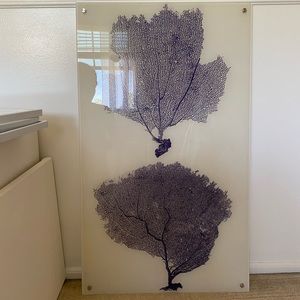 Benzara Sea Fan Floating Wall Art